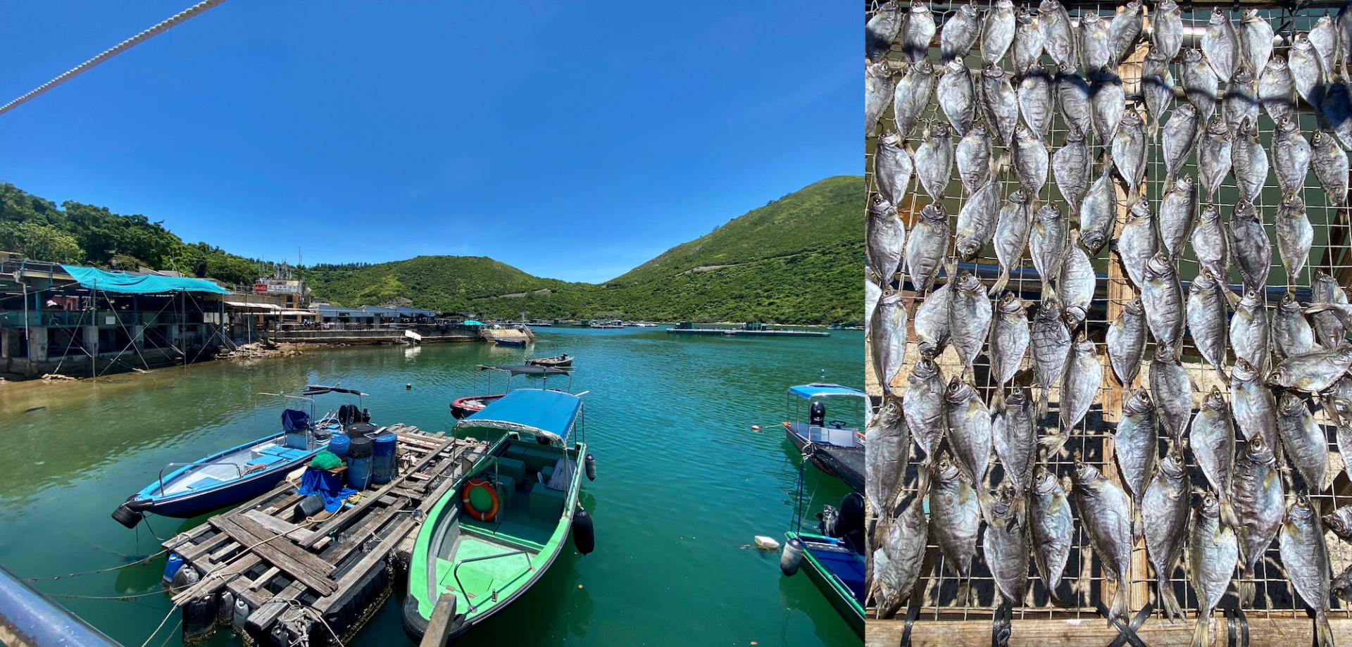 Feast For the Senses: Po Toi O Fishing Village