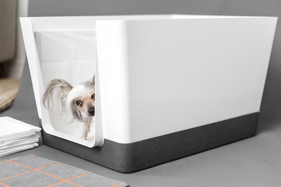 6 Stylish Furniture Pieces For the Pooch That’s Part of the Family
