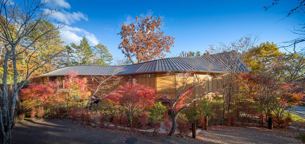 This Pritzker Prize Winner-Designed Retreat in the Woods Features a Curved Building