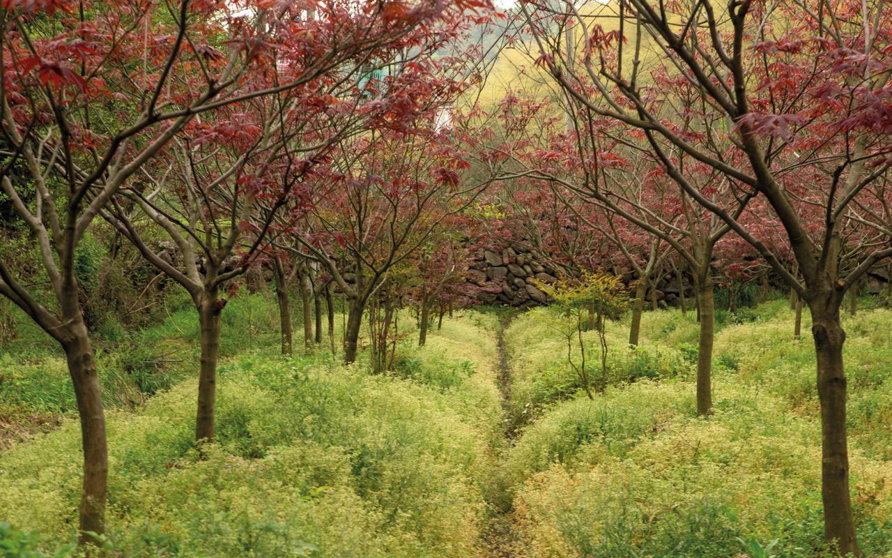 A Magnificent Escape in Zhejiang, China