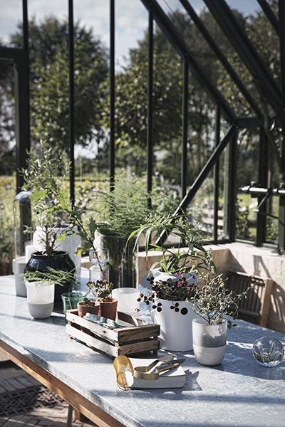 How to Bring the Outdoors In: The Terrace, Garden and Conservatory