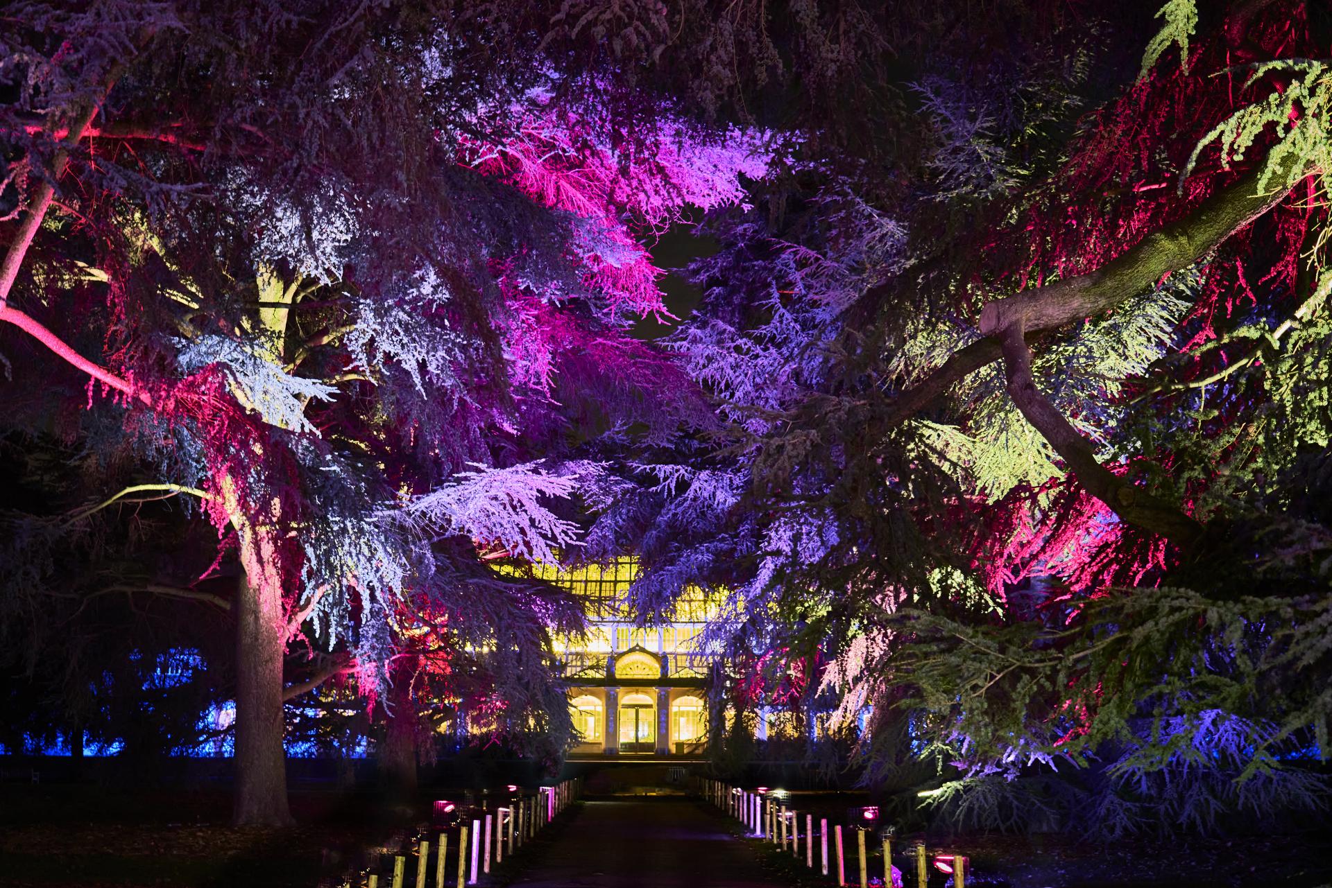 Christmas at Kew — The Royal Botanical Gardens Turned Into A Glittering ...