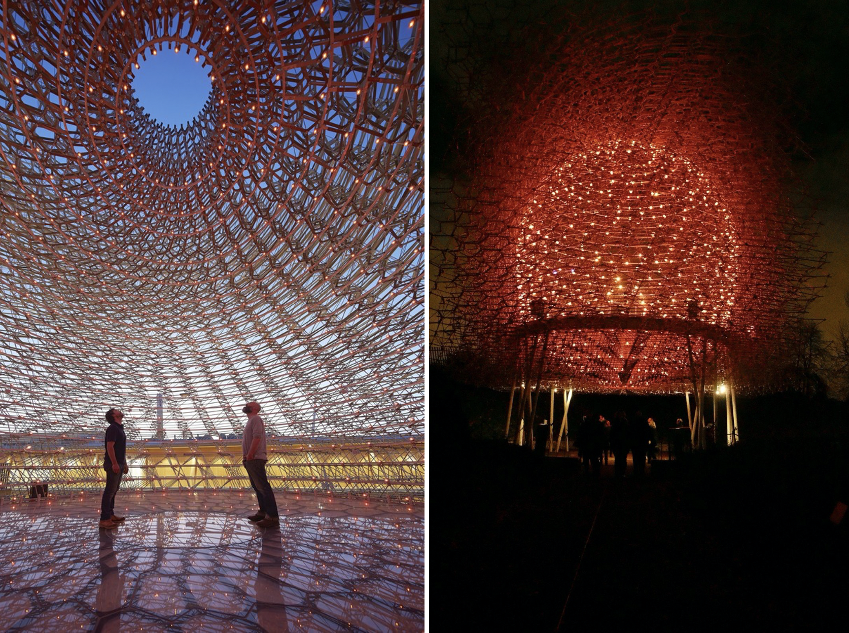 Christmas at Kew — The Royal Botanical Gardens Turned Into A Glittering Winter Wonderland