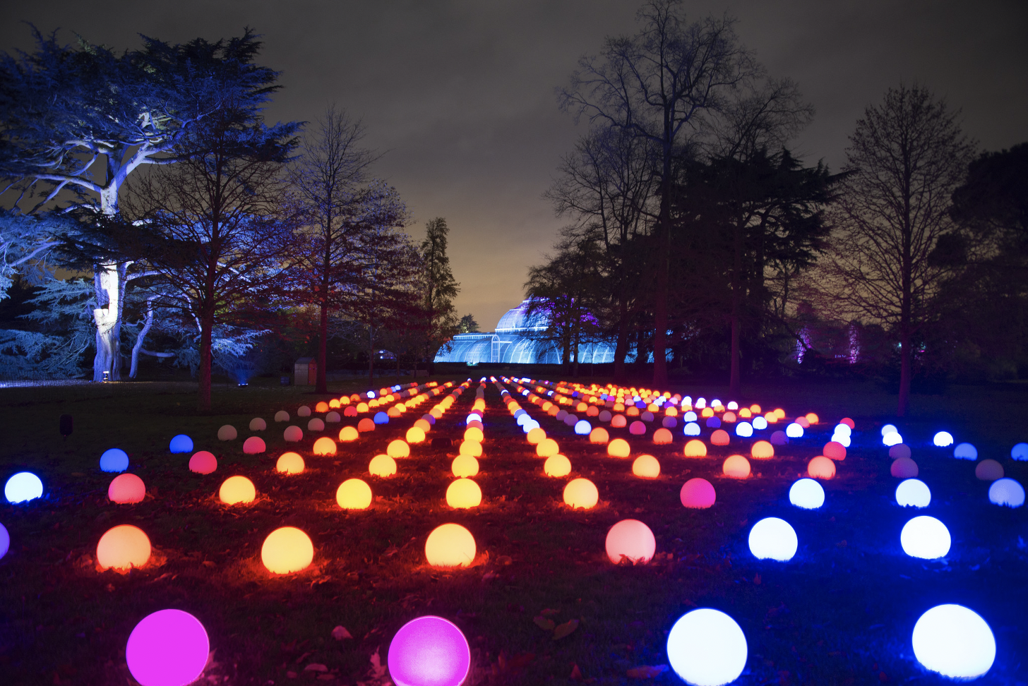 Christmas at Kew — The Royal Botanical Gardens Turned Into A Glittering Winter Wonderland