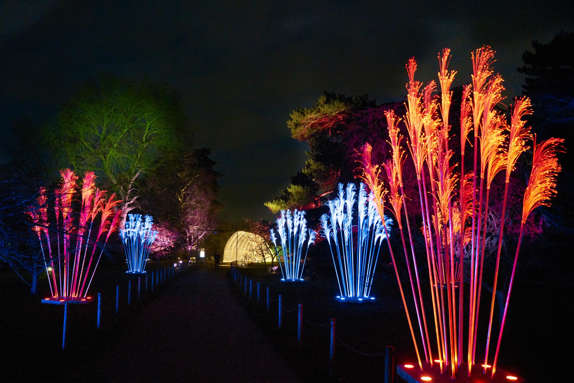 Christmas at Kew — The Royal Botanical Gardens Turned Into A Glittering Winter Wonderland