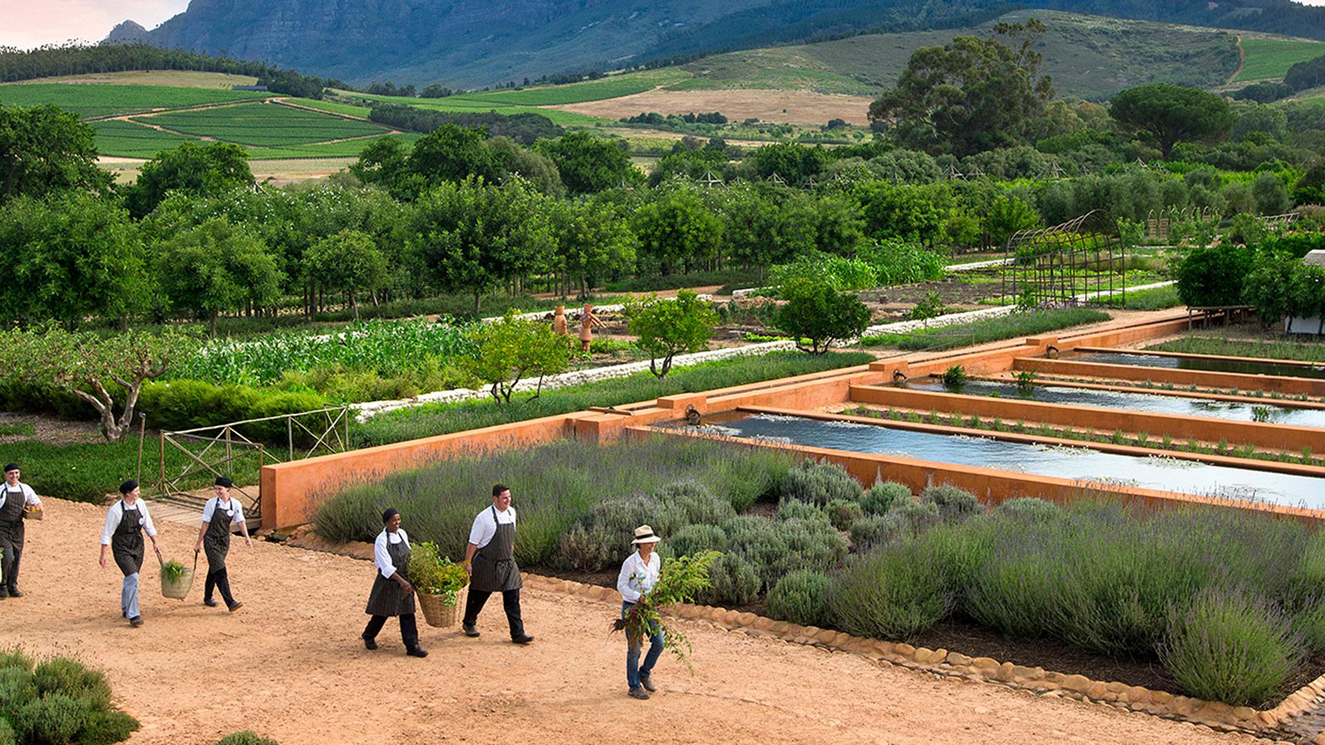 The Babylonstoren Garden in South Africa Is A True Delight For The Senses