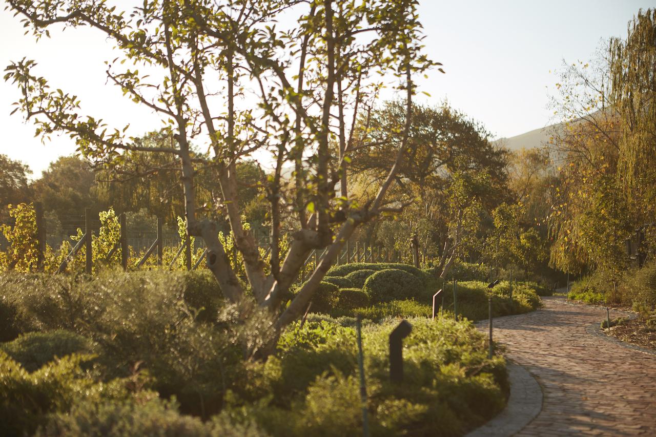 Explore The Charm of Leeu Estates – A Luxury Private Hideaway in Cape Winelands