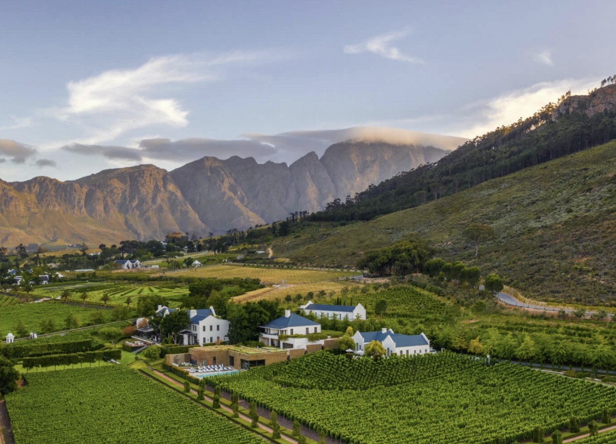 Experience the Magic of Leeu Estates, Where Art, Food, and Wine Blend Harmoniously With Nature