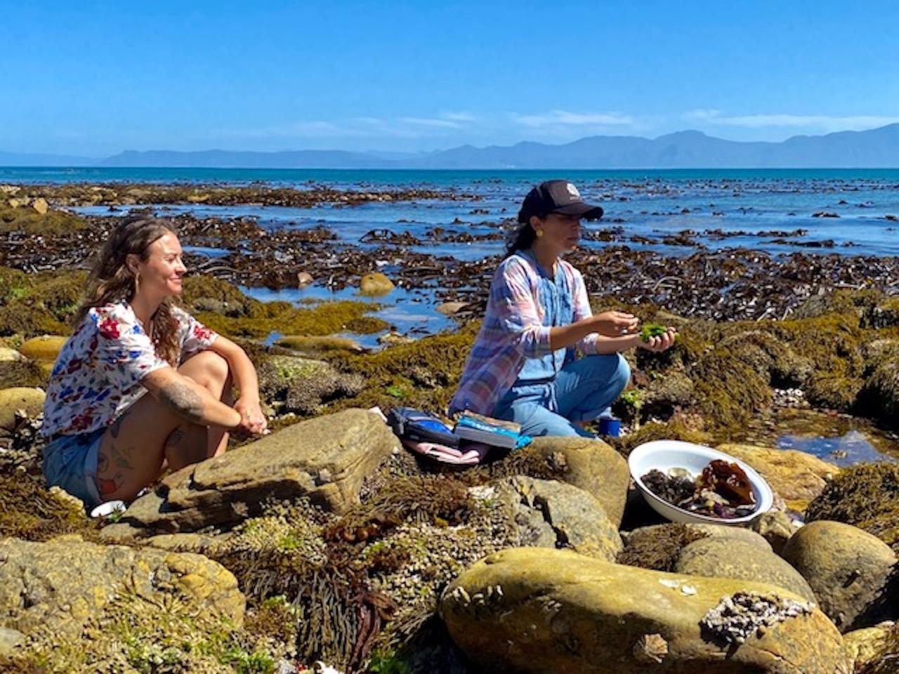 Return to the Wild: Wild Foraging at Western Cape