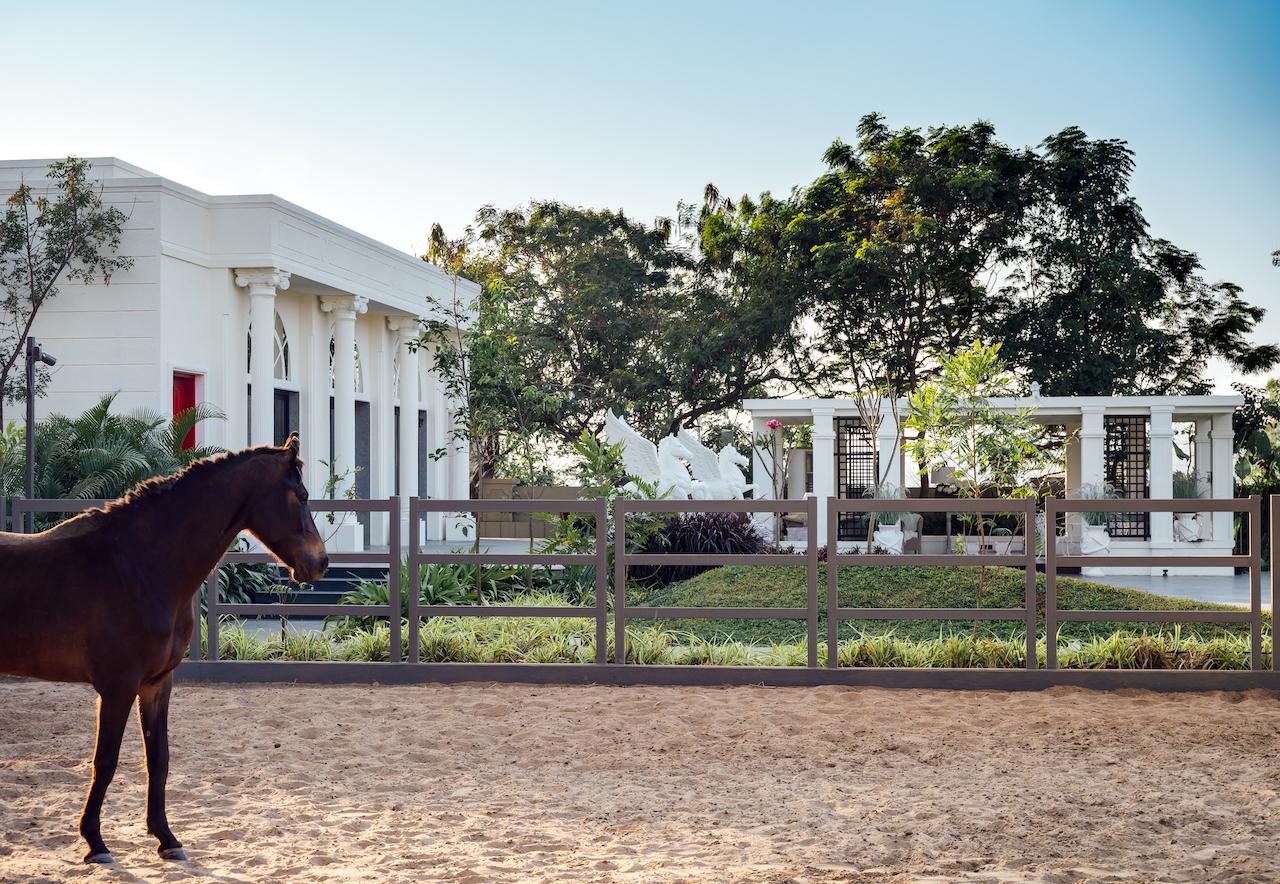 Contemporary Meets Classics In This Sophisticated Farm House