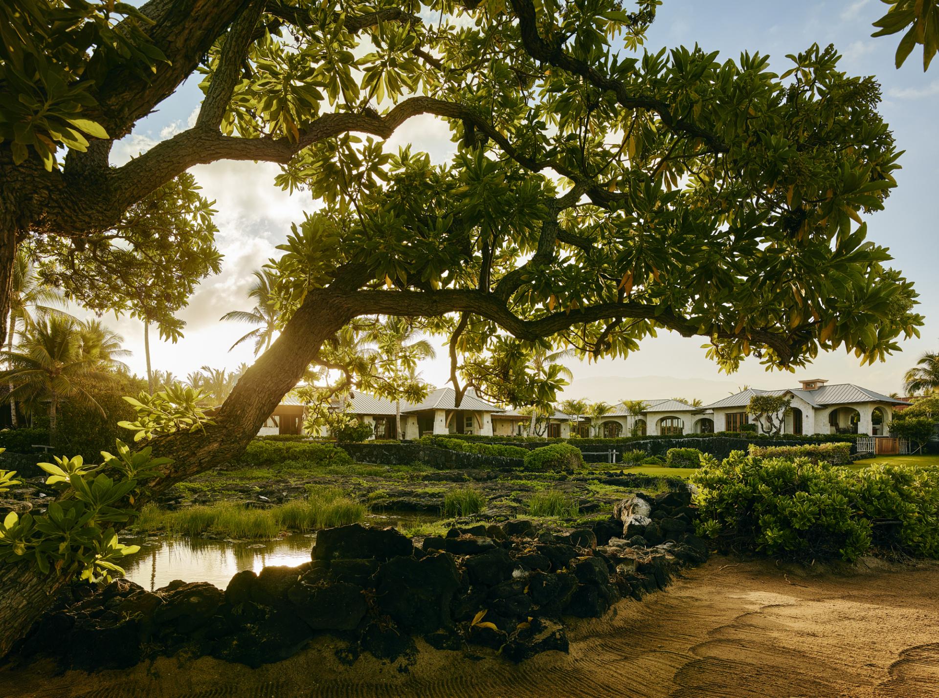 Walk Into A Rustic Yet Modern Home On Hawaii's North Kohala Coast 