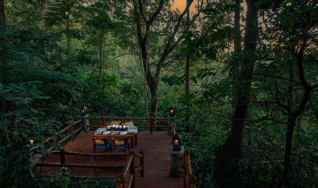 “It’s like stepping into a fairy tale!”: A Magical Wooden Lodge in Wayanad