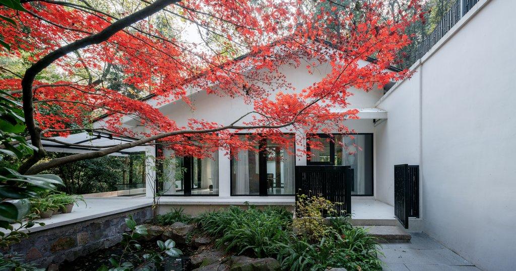 Step Inside a Tranquil Retreat in the Heart of a Forest within Hangzhou