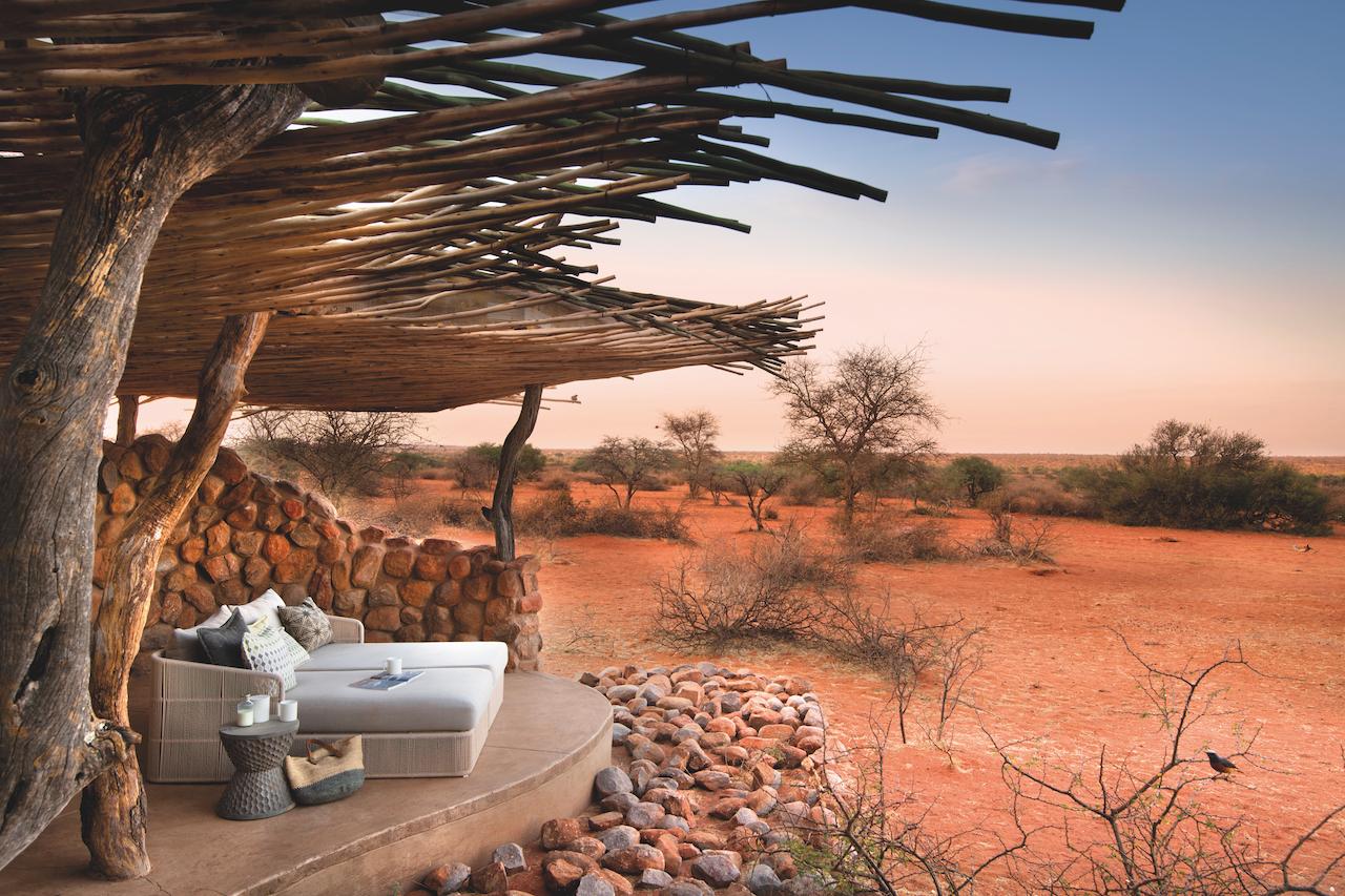 A Taste of Wilderness: Top Things to Do in Tswalu Kalahari