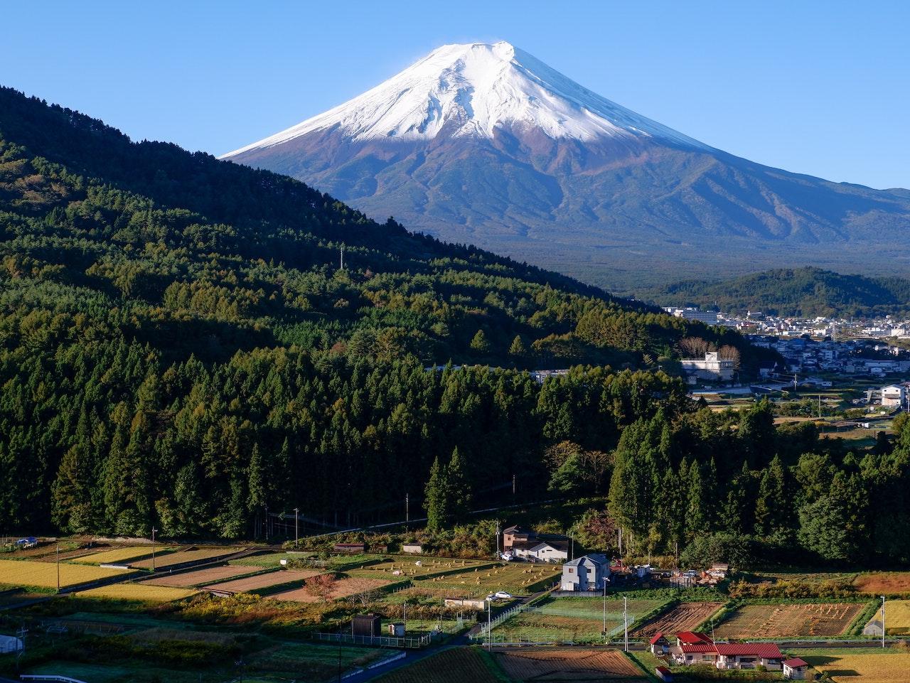 David Awai, Founder of Frecious Fuji, on Introducing Natural Mineral Water from Mountain Fuji into Hong Kong