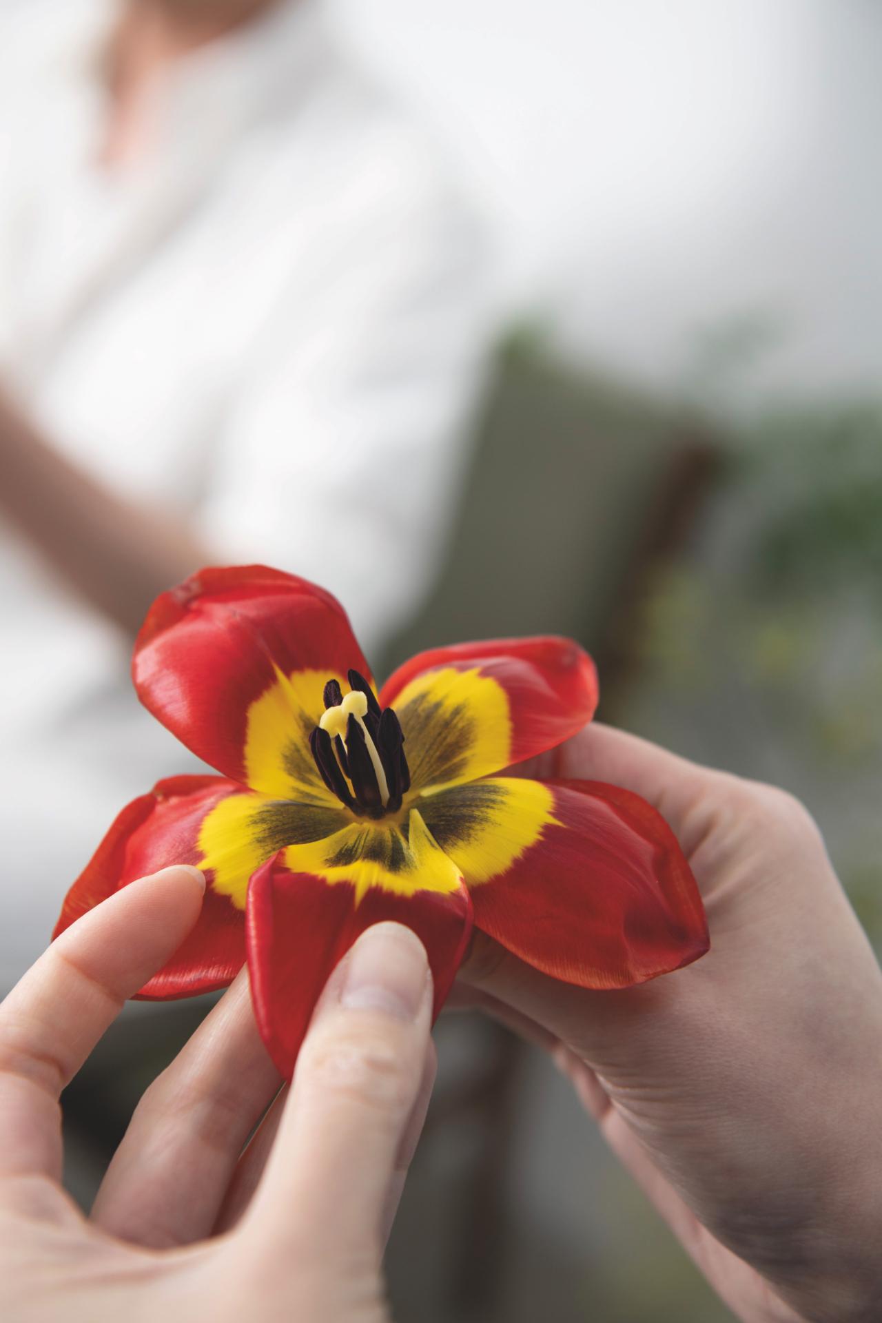 Flower Power: Local Florist Mode Mok on the Art of Ikebana