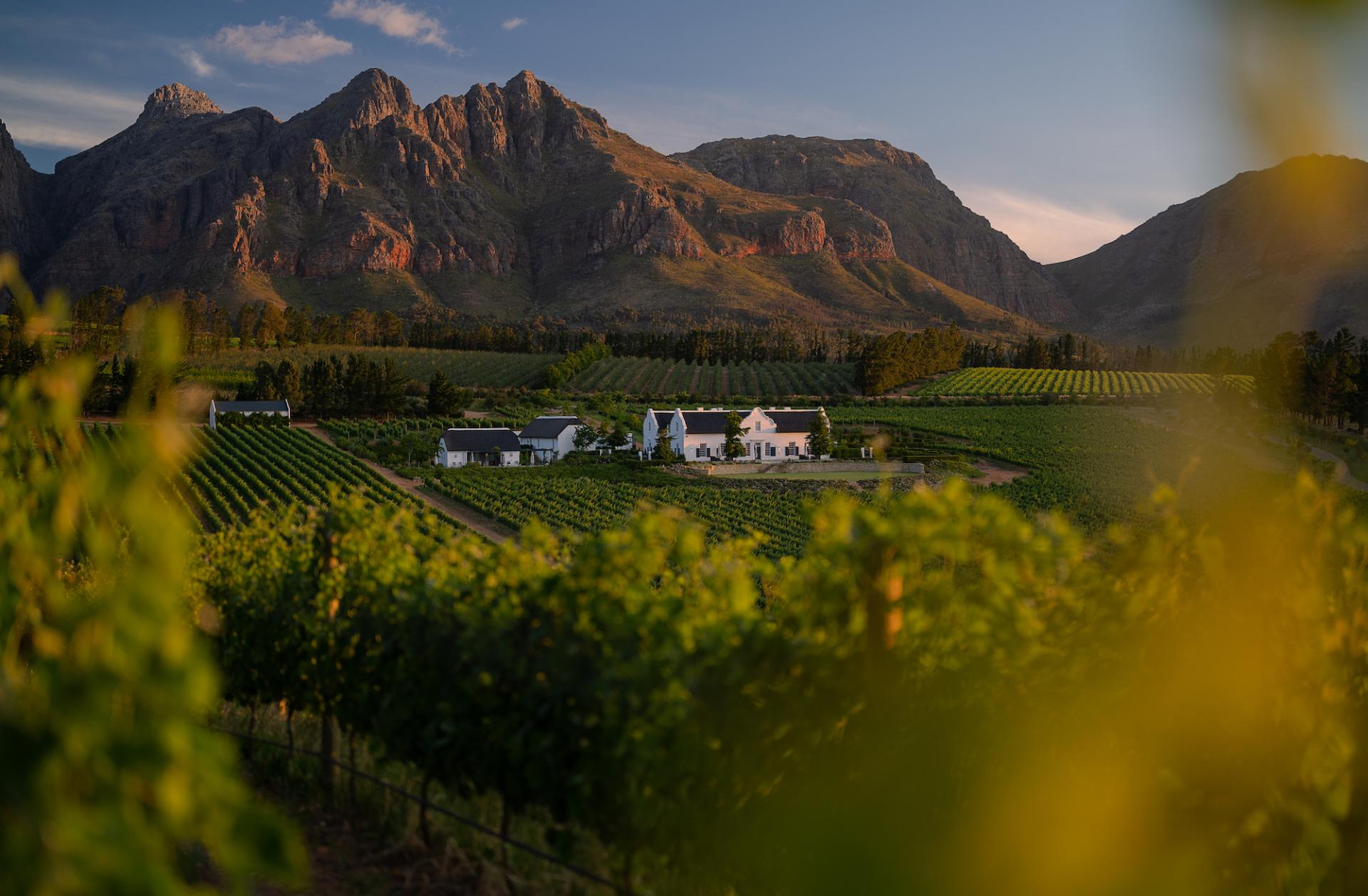 Vine To Glass: Explore the Idyllic Manor House and Wine Farm in Cape Winelands