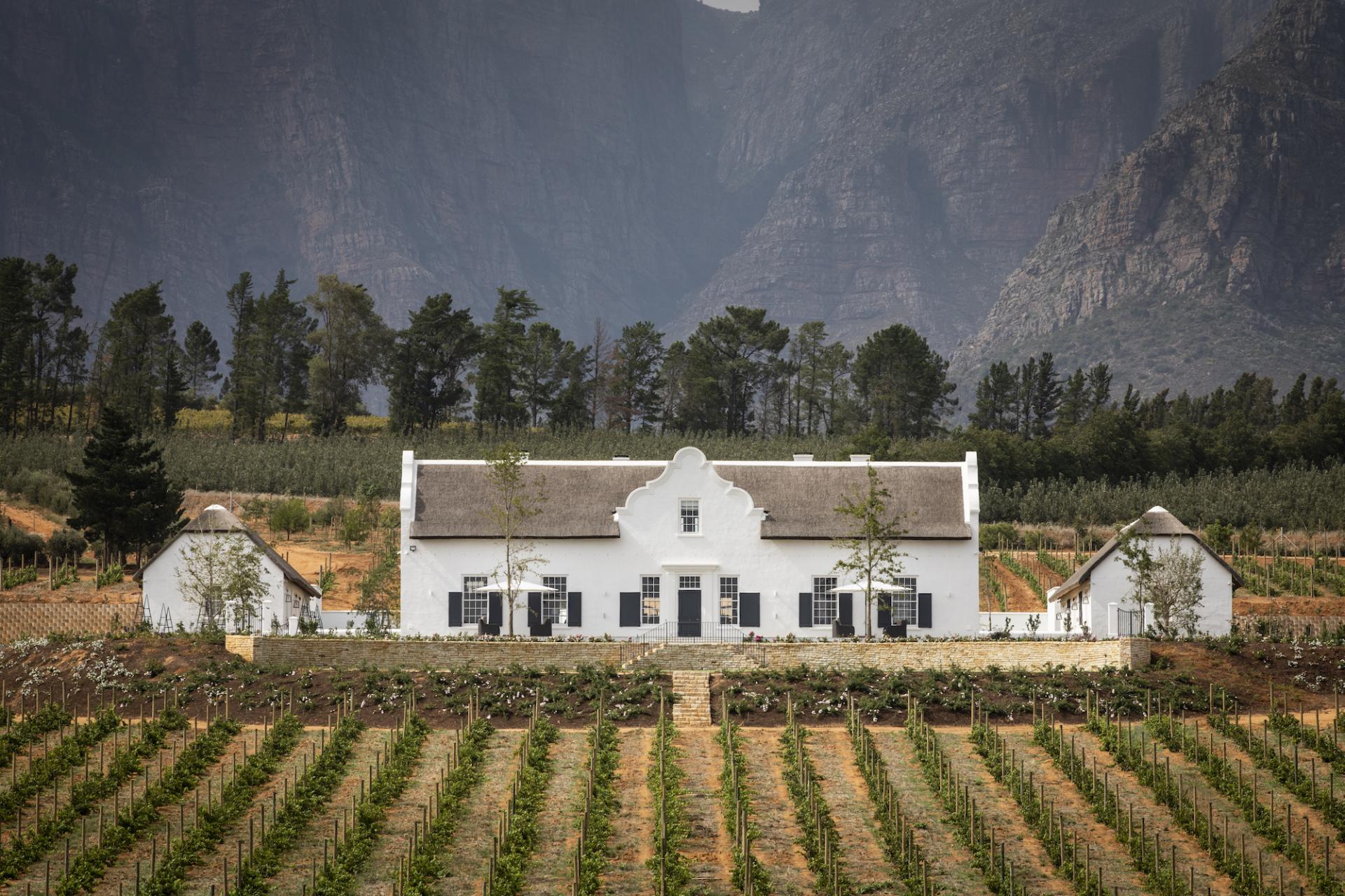 Vine To Glass: Explore the Idyllic Manor House and Wine Farm in Cape Winelands