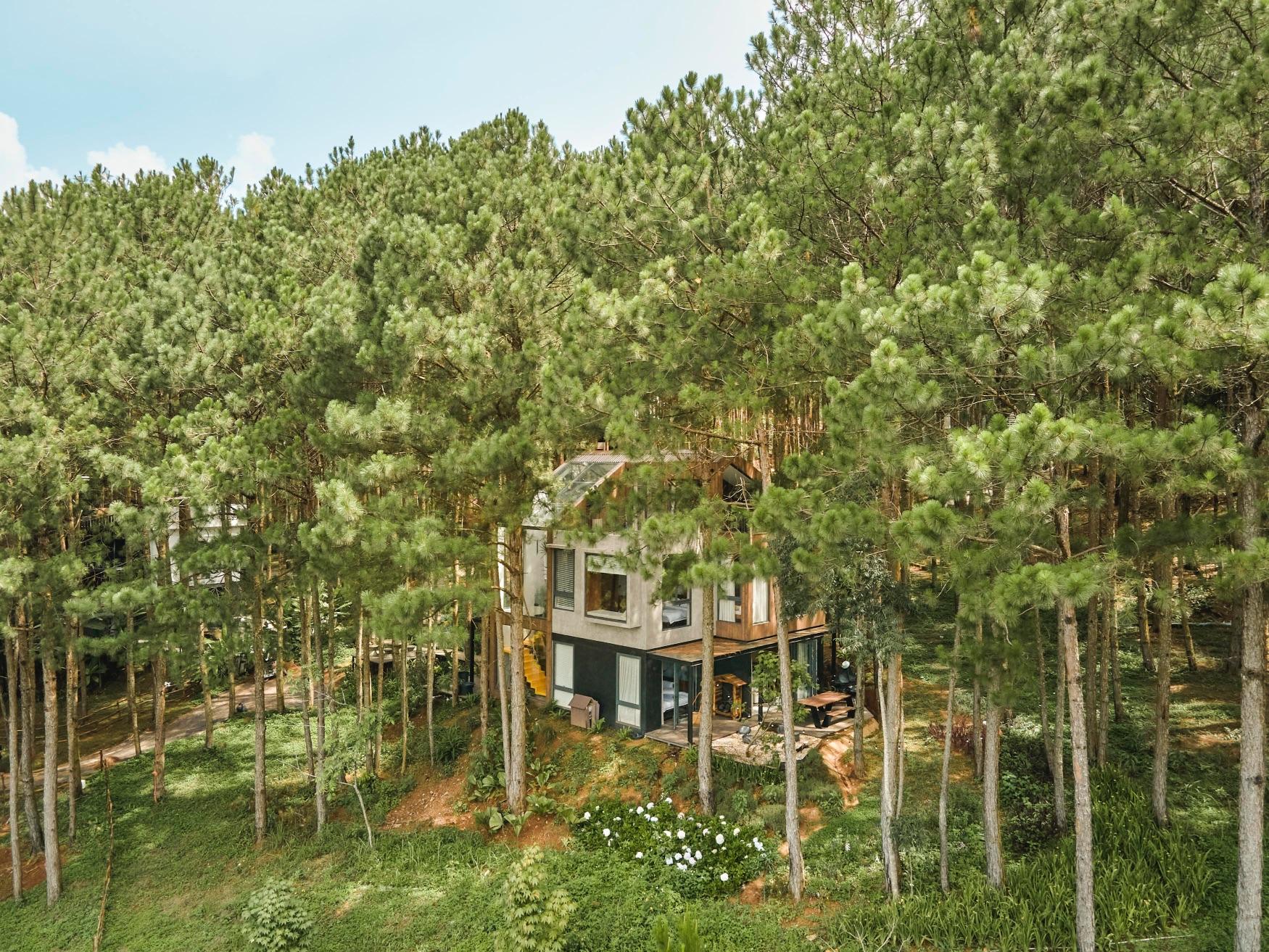 Inside the dream-like retreat hidden in the pine forest of Dalat, Vietnam
