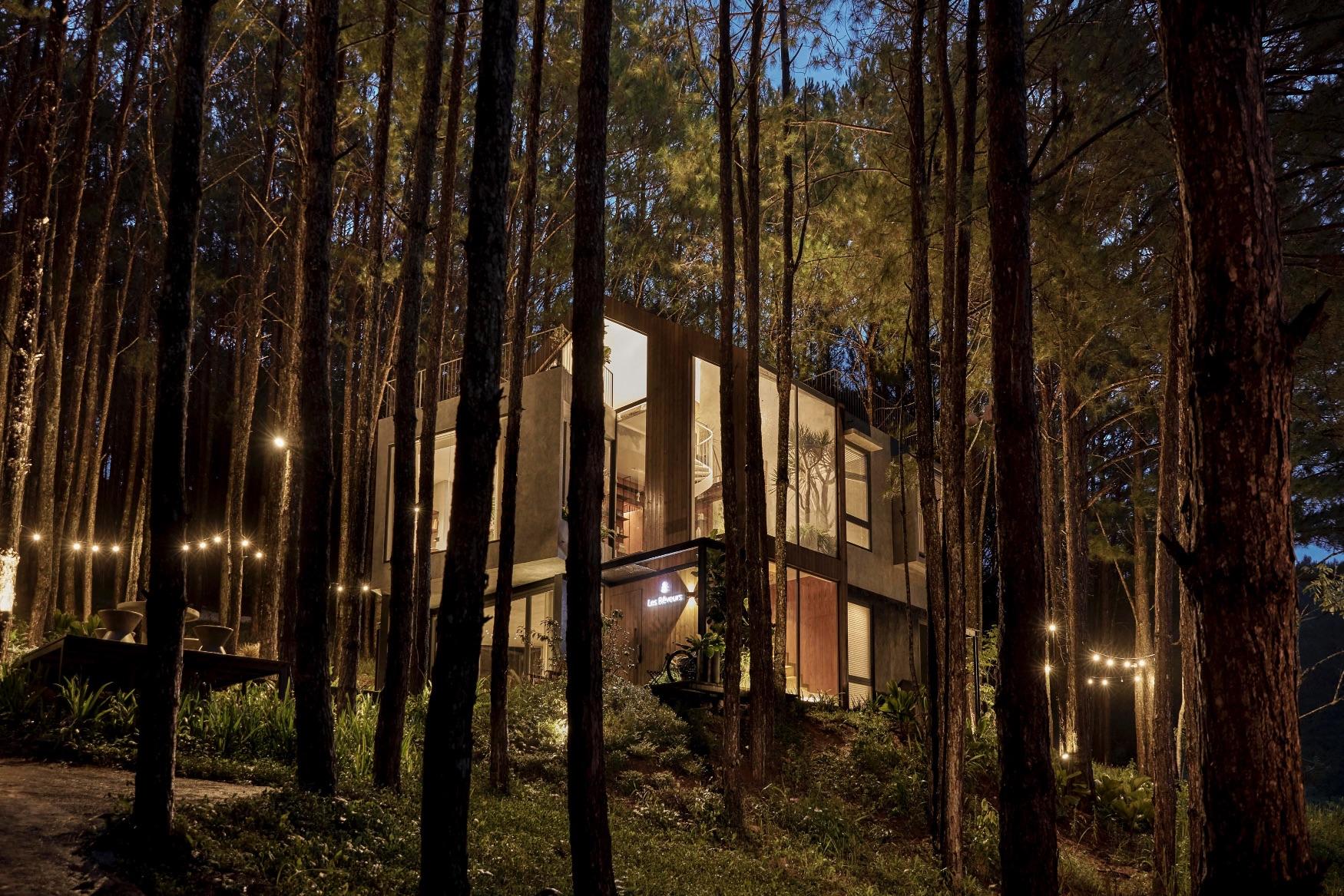 Inside the dream-like retreat hidden in the pine forest of Dalat, Vietnam
