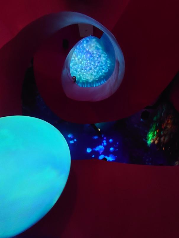 Taiwan’s intelligent aquarium museum gets a new glow up