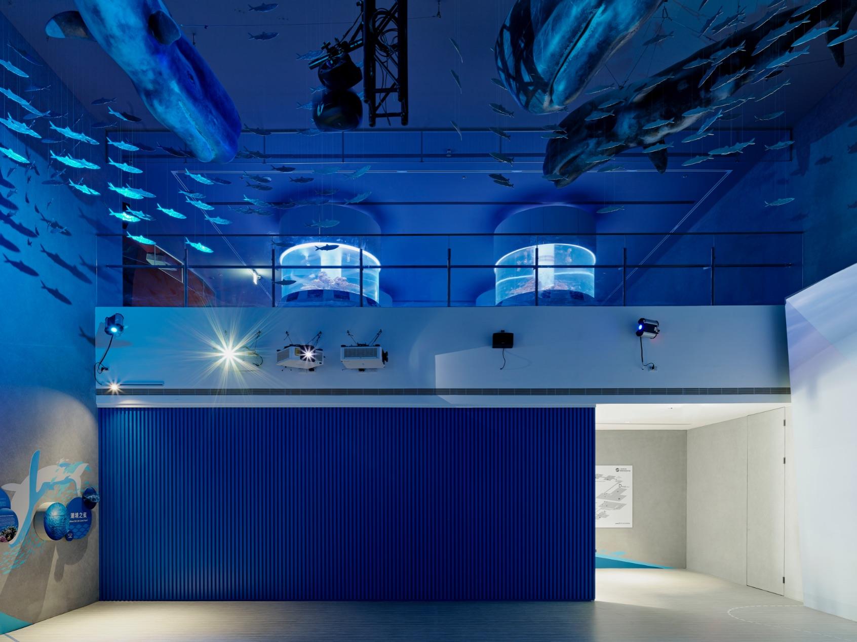 Taiwan’s intelligent aquarium museum gets a new glow up