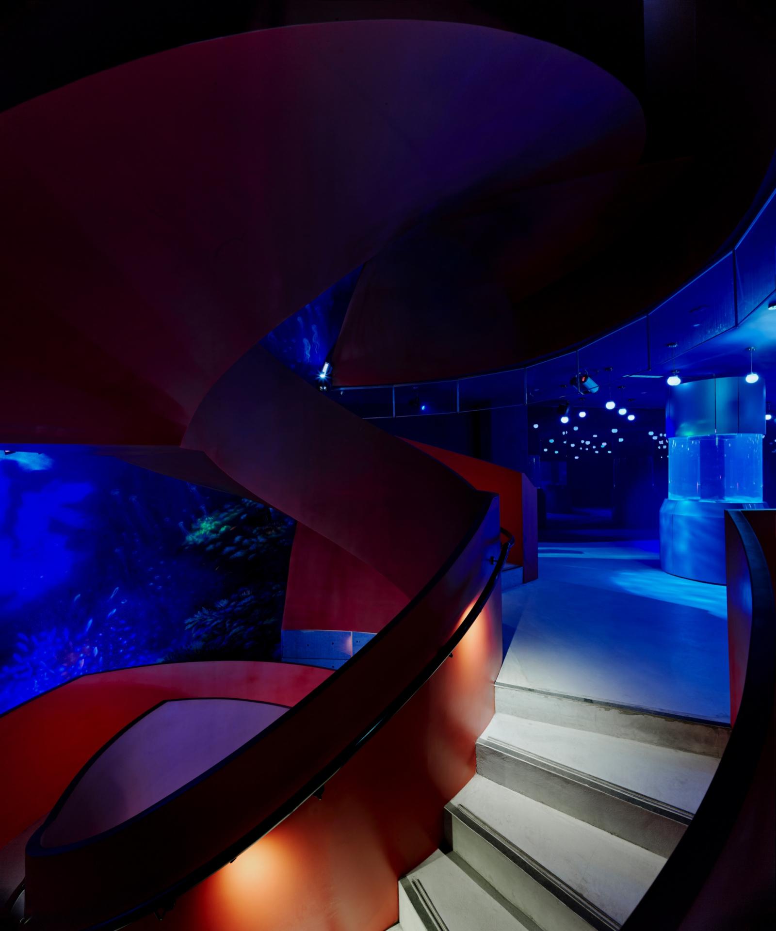 Taiwan’s intelligent aquarium museum gets a new glow up