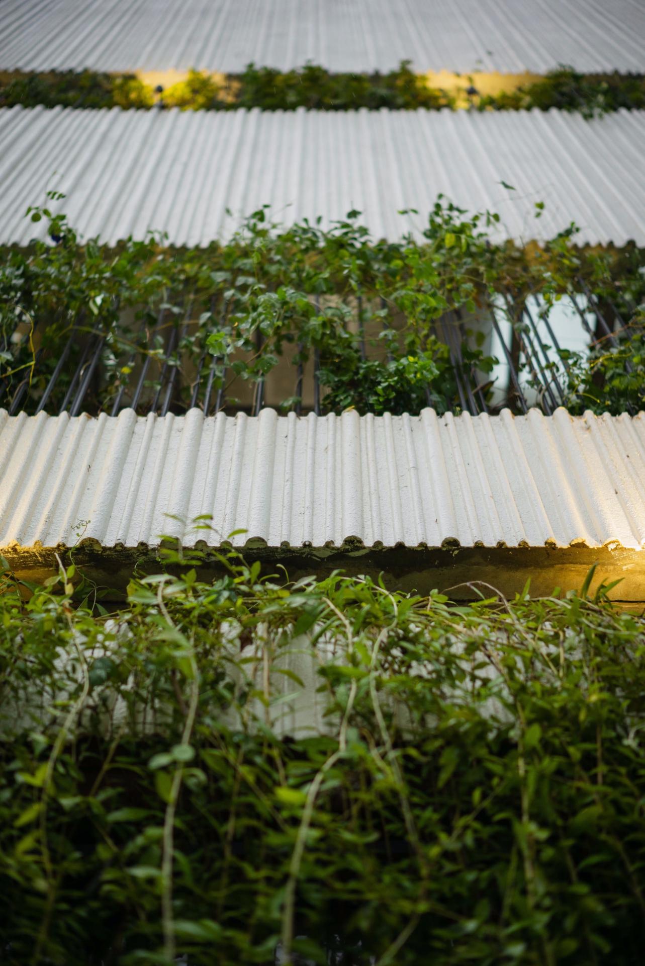 This home in Vietnam incorporates the essence of a botanical garden into its design