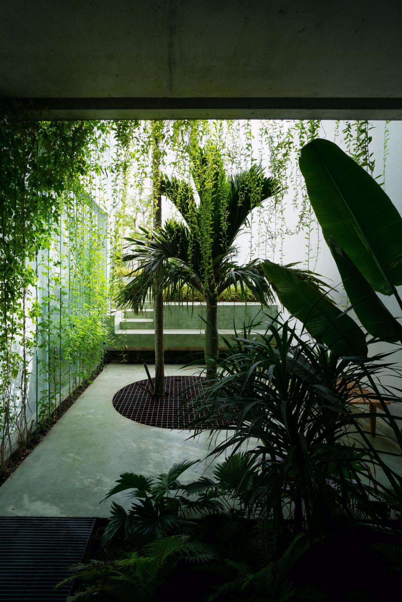 This home in Vietnam incorporates the essence of a botanical garden into its design