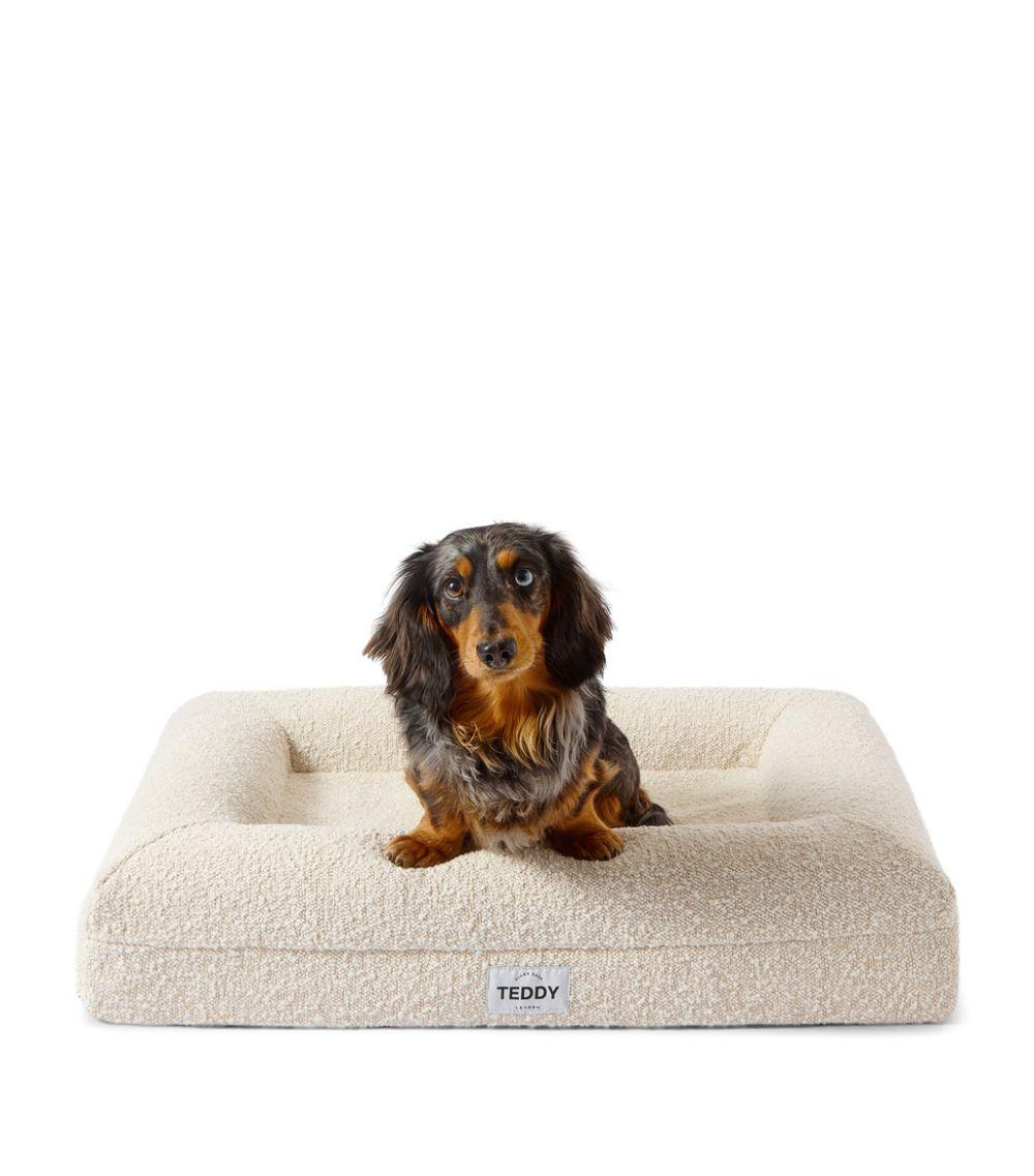 Stylish best sale pet bed