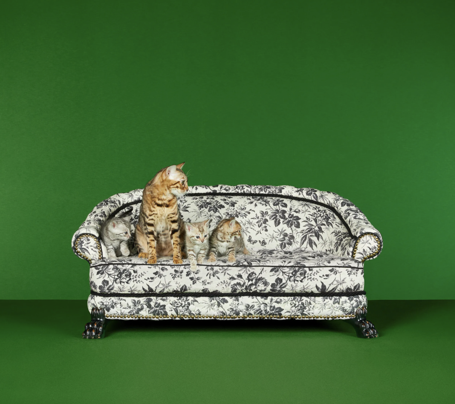 Home goods hot sale pet furniture