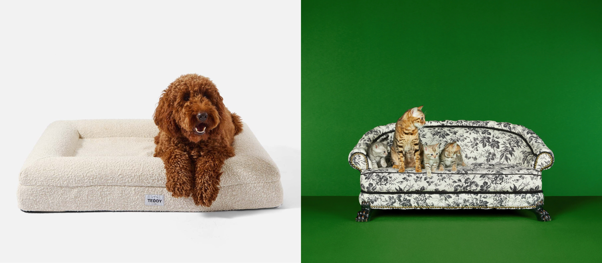 stylish-pet-homeware-that-ll-actually-look-good-in-your-home