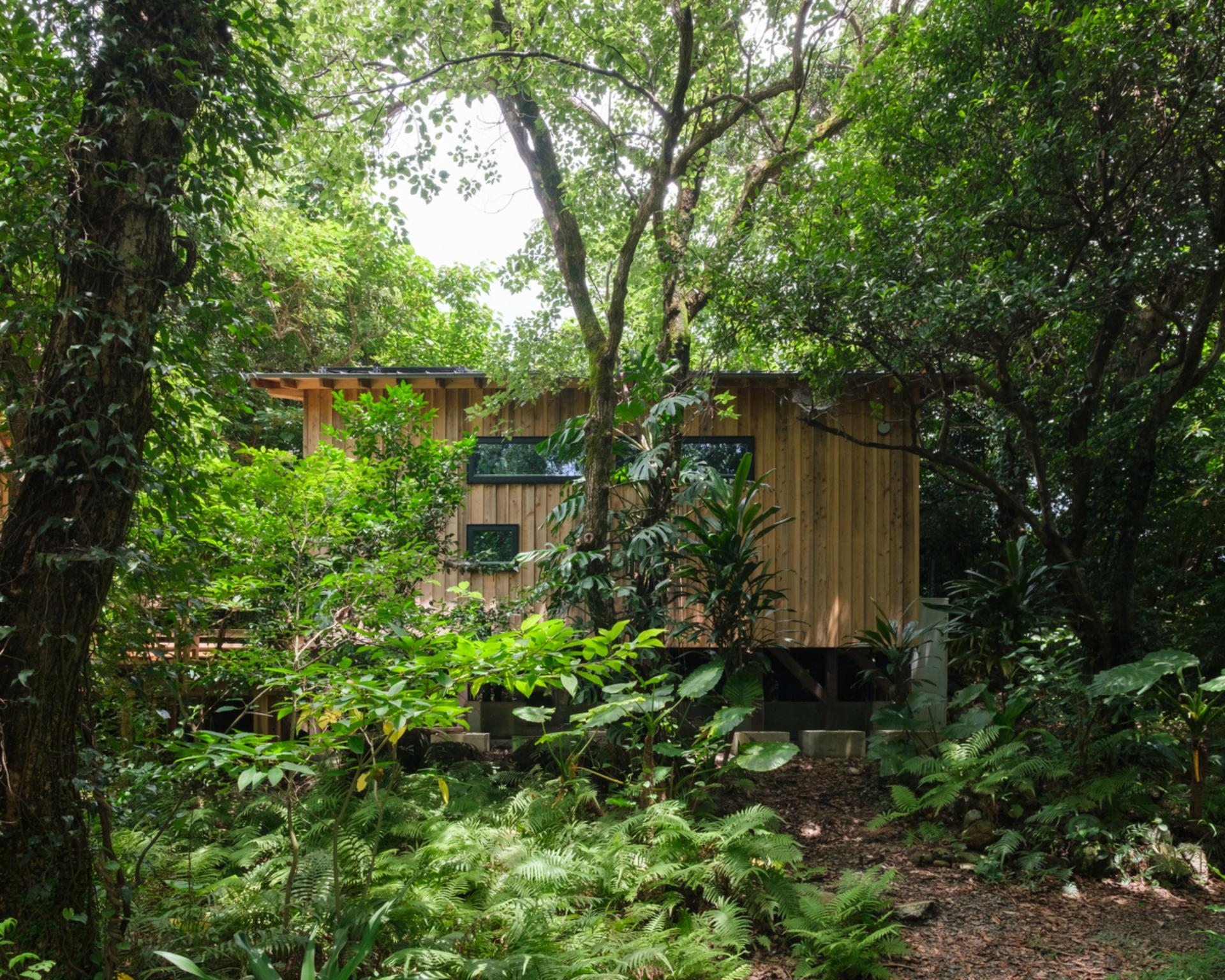 A wooden bungalow blends age-old wisdom with modern design in Kagoshima, Japan 