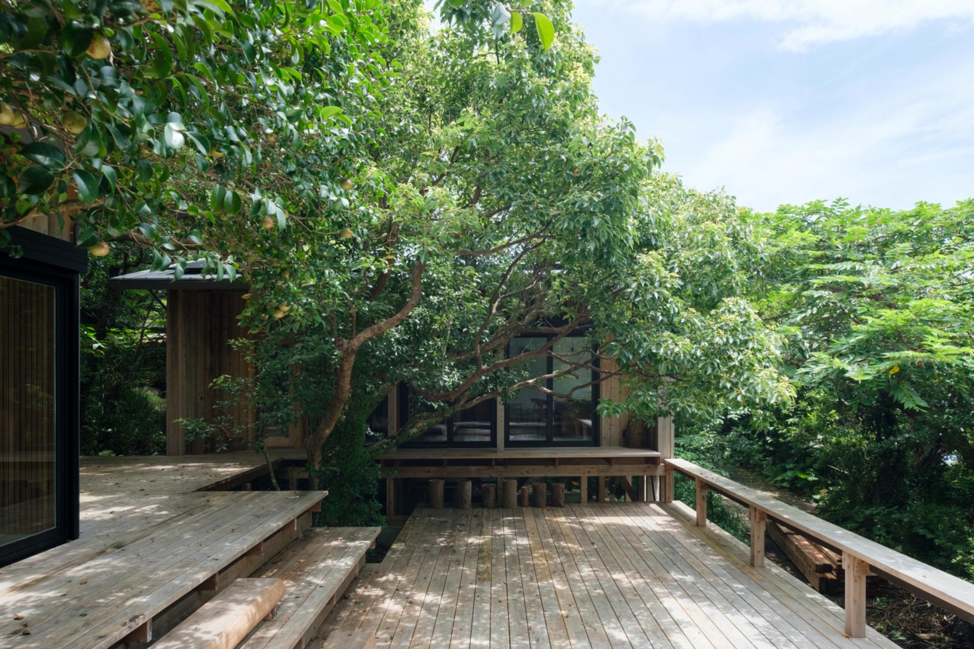 A wooden bungalow blends age-old wisdom with modern design in Kagoshima, Japan 