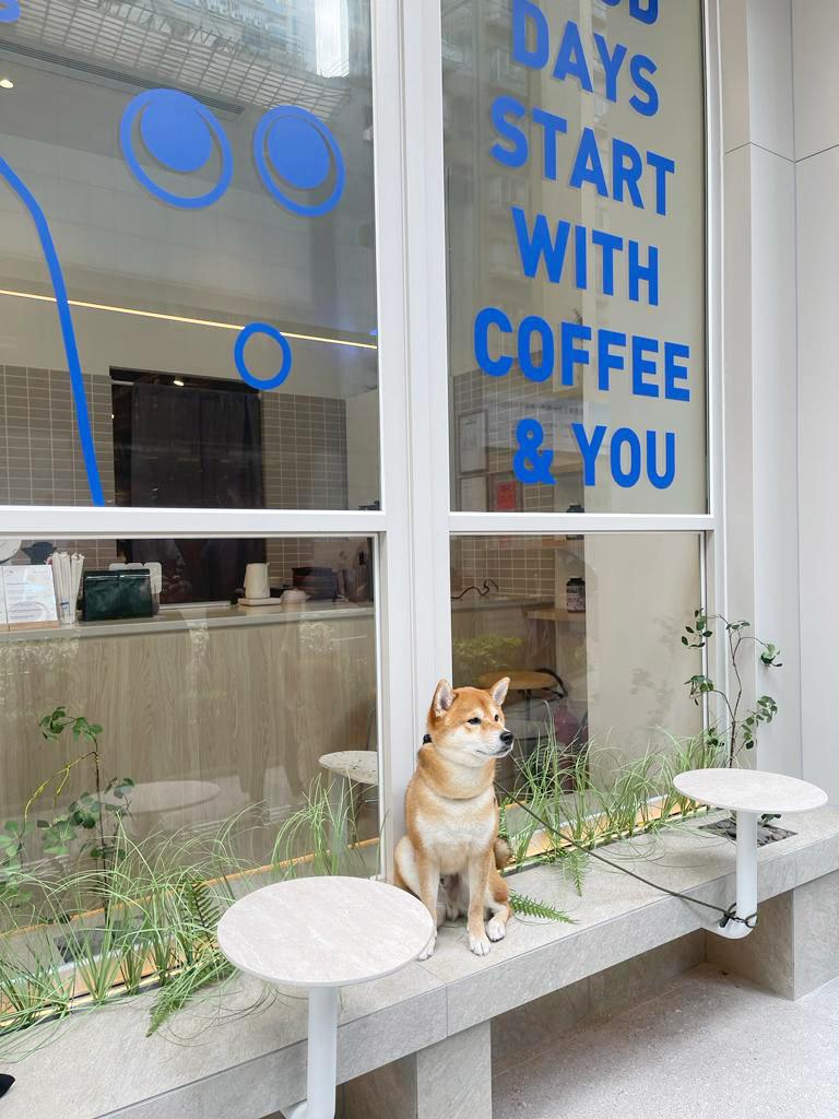Snap-Worthy Cafe Alert: Hap Coffee's Second Branch in North Point Is an Instagrammer's Dream 