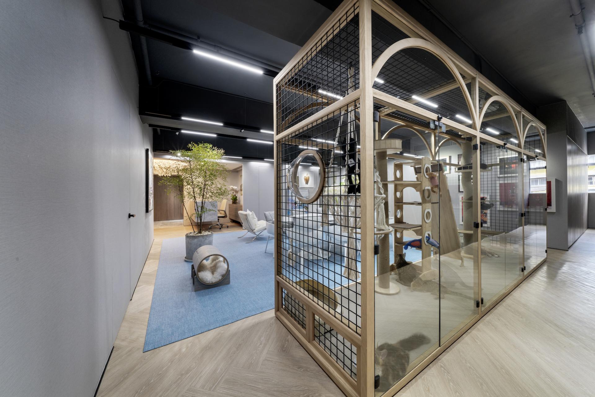 Hong Kong interior designer Danny Cheng designed a post-retirement office for a client with ten cats.