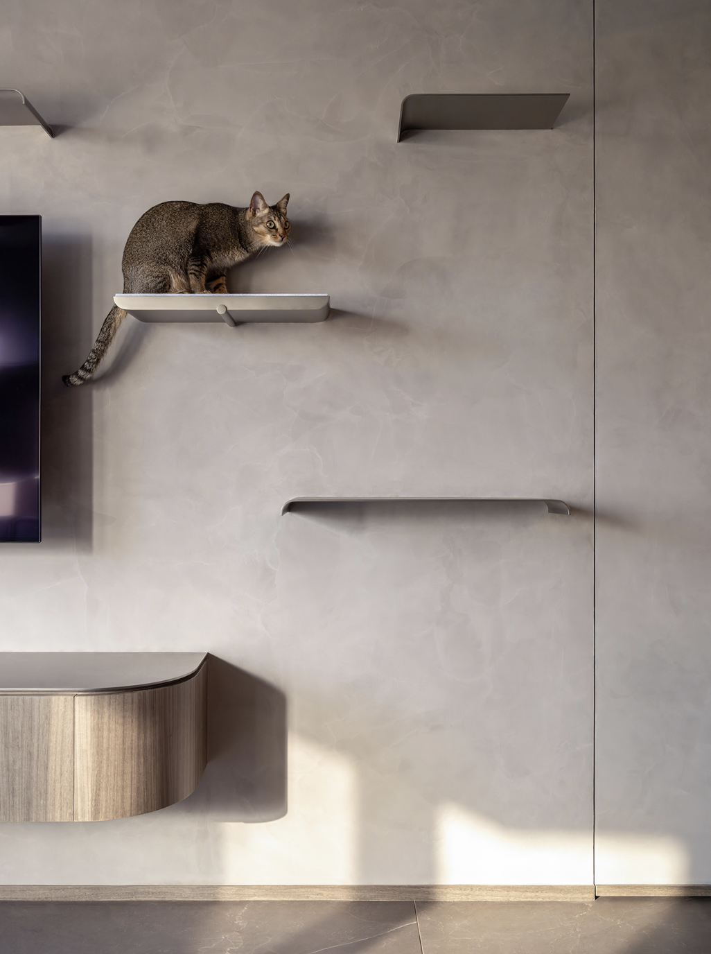 A 600 sq. ft. Minimalist Home Where Humans and Cats Live in Purr-fect Harmony