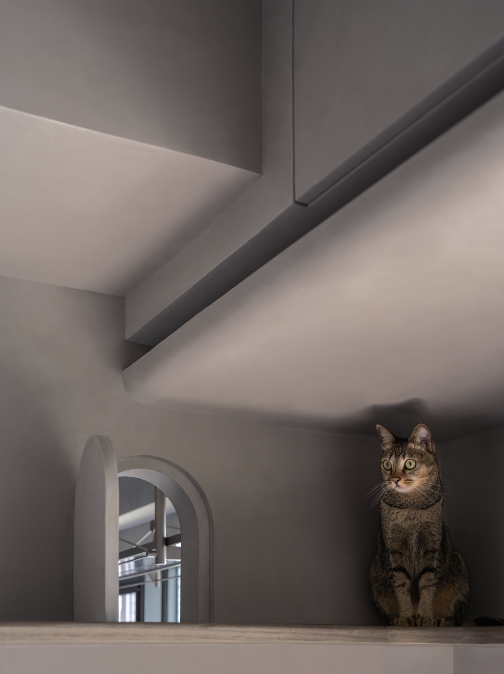 A 600 sq. ft. Minimalist Home Where Humans and Cats Live in Purr-fect Harmony