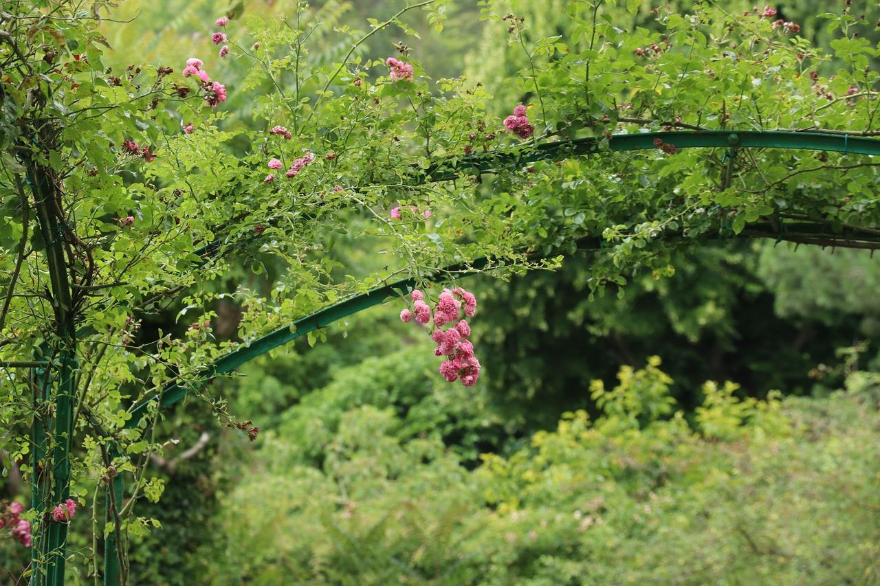 往法國小鎮Giverny遊花園，印象派畫家莫內的畫意詩情