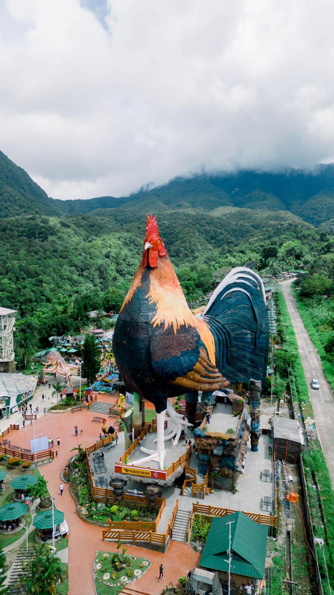 A Giant Chicken Hotel Secures Guinness World Record, But What Does It Represent?