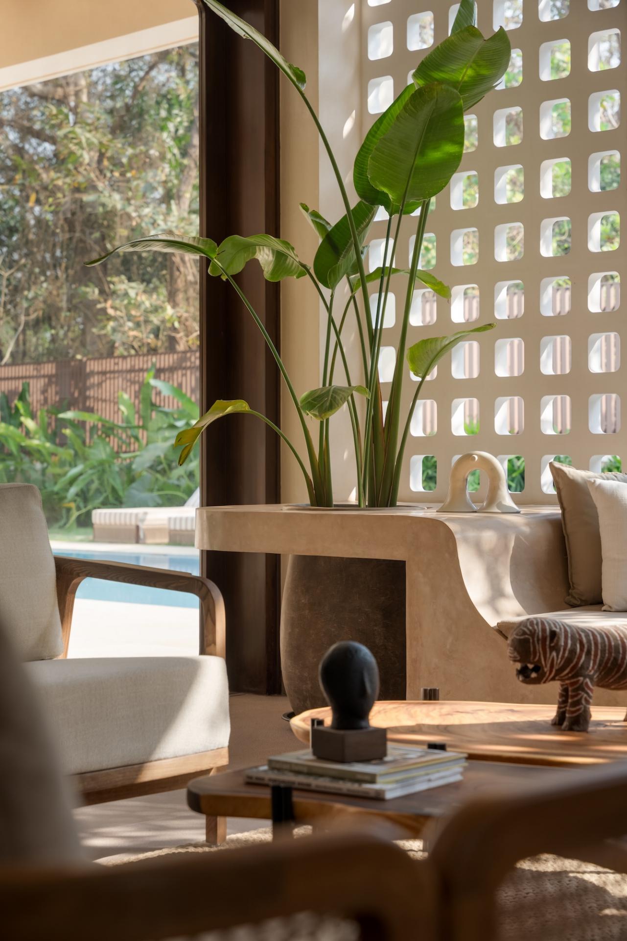 Tour a Goa Retreat That Blends Right into its Surrounding Forest