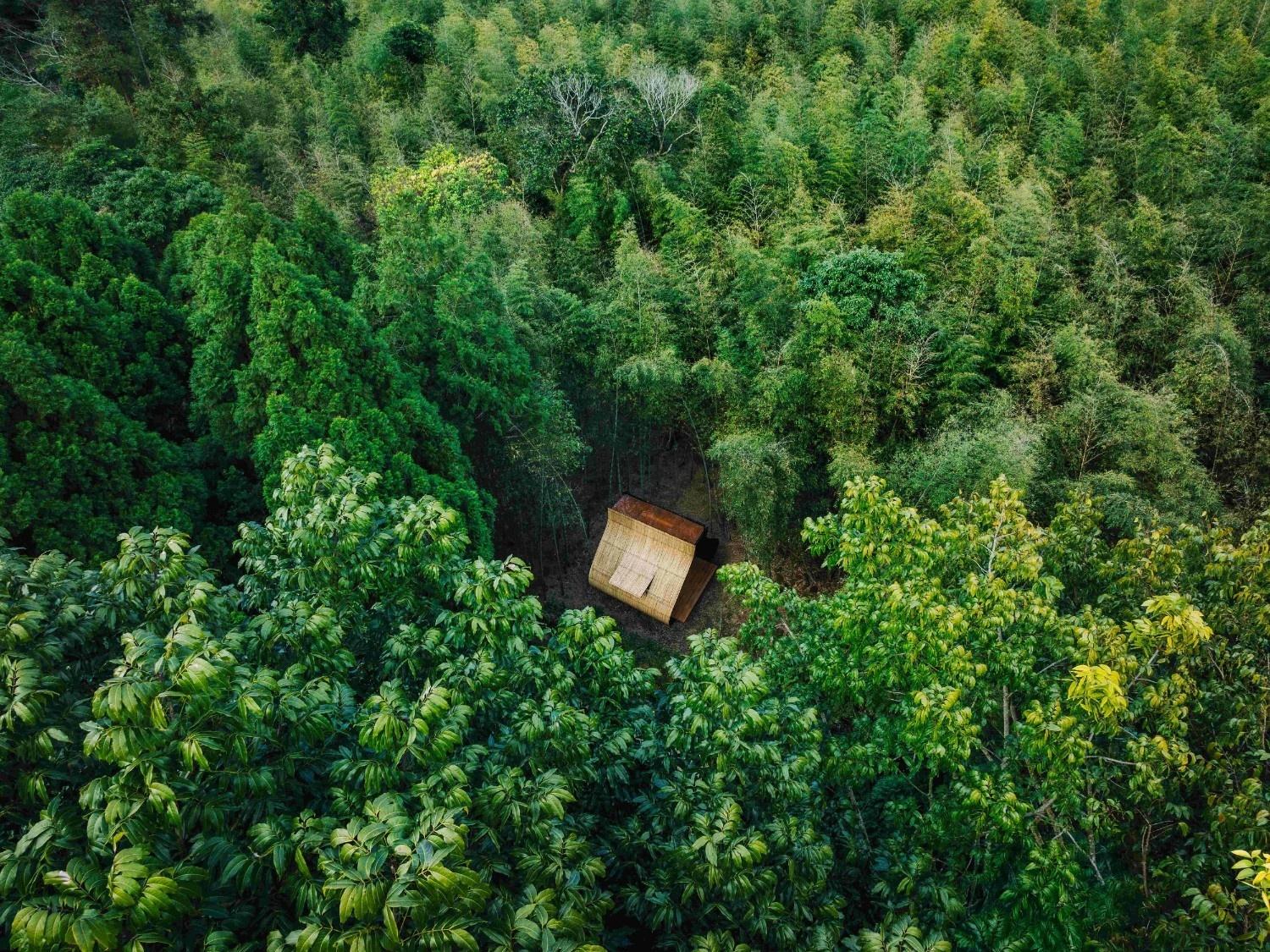 隱於台灣南投竹林的「粽子」小竹屋，由范承宗以竹編出幽玄之美